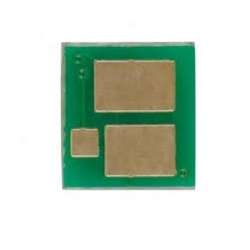 Puce POUR Ricoh R4510
